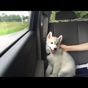 Meet your Posher, Rick